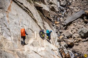 Spider-wall-Kedartal-Indiahikes-SudheerHegde