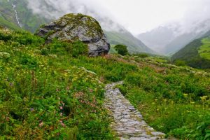 valley of flowers